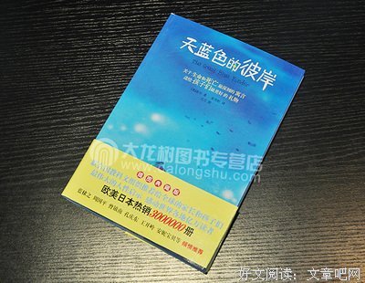 最全的《天蓝色的彼岸》小说摘抄
