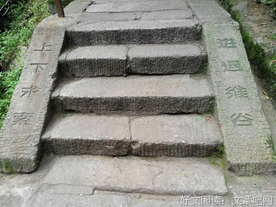 描写进退维谷的经典句子