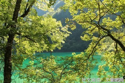 关于感觉不错的句子