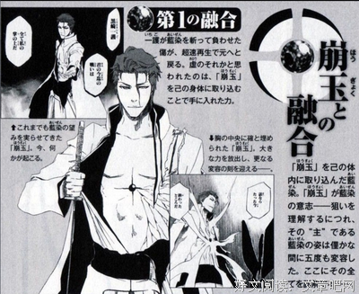 蓝染惣右介名言警句