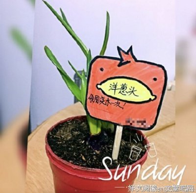 没有什么能够阻挡，你爸妈对种菜的向往