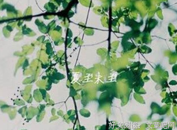 最全的《十五年等待候鸟》经典语句大全