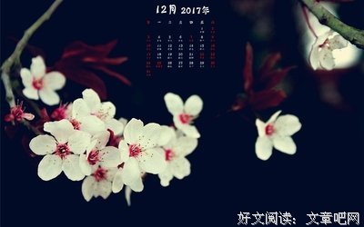 最经典的《我与梅花两白头》经典语录