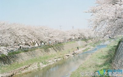 《梦里花落知多少》小说摘抄