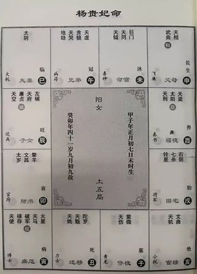 《穿越之好色王妃》语录摘抄大全
