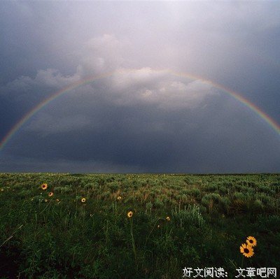 最新的《重生之将门毒后》名句欣赏大全