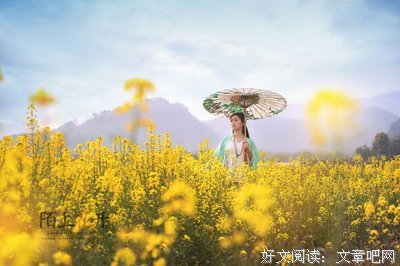 最全的《陌上花开为君顾》好段摘抄