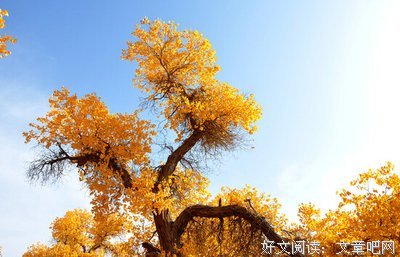 最全的《星轨是天空的道路》经典句子