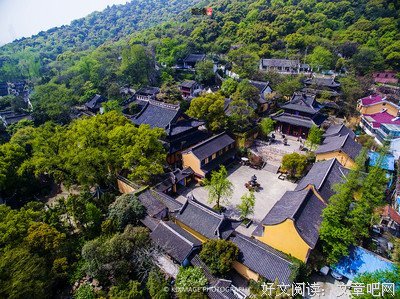 关于子规的名言