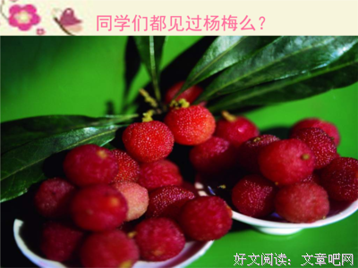 描写柳动蝉鸣的经典句子