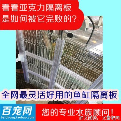 百宠的句子