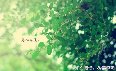 亦舒：“治疗软弱和焦灼”的良药。