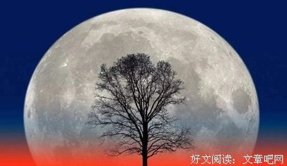 关于白驹过隙的优美句子