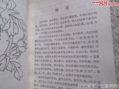 撷花拾贝经典的句子