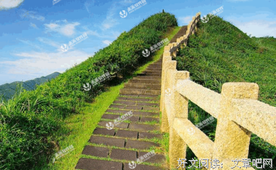 莲上们便心将金物的句子