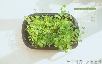 六月