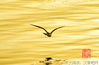 最新的辞鸢心名言警句