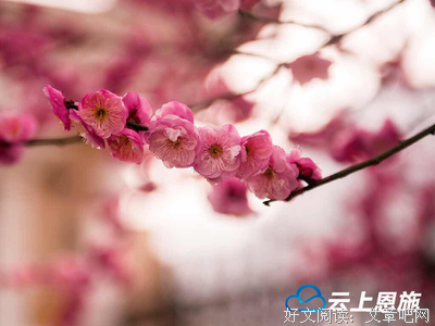 最新的若人名人名言