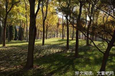 2019苏景闲名言