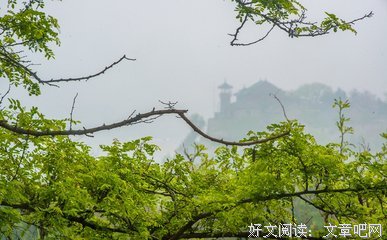 最新的《世界尽头与冷酷仙境》名句欣赏