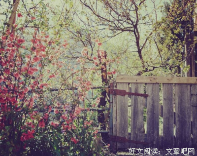 最新的《所有我们看不见的光》经典句子大全