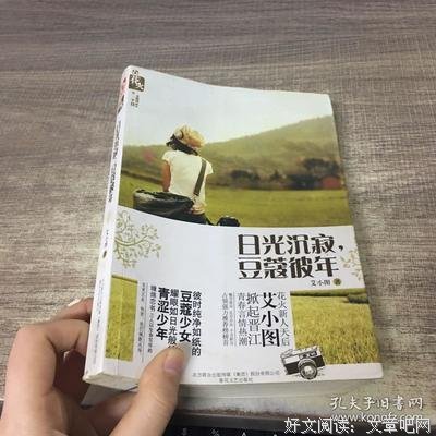 《日光沉寂，豆蔻彼年》小说摘抄大全