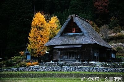最新的《了凡心疗愈》经典的句子