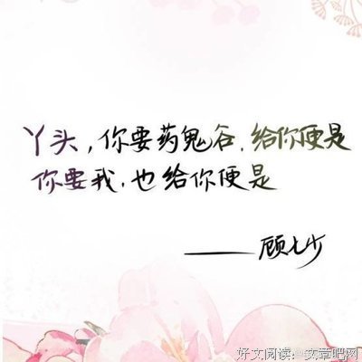 最全的《开子过内失一小毒妃》小说句子