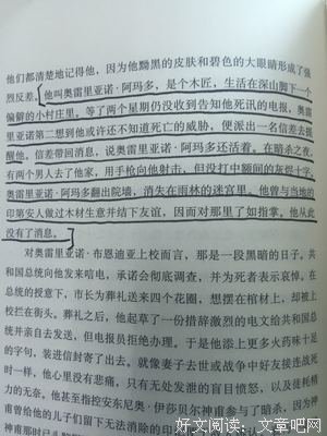 布恩迪亚的语句摘抄_关于布恩迪亚的语句
