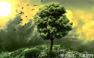 离合悲欢的语句摘抄_关于离合悲欢的语句