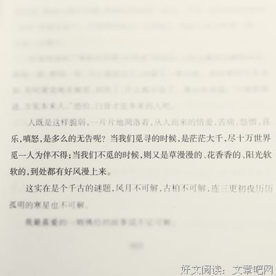 曾觅的句子