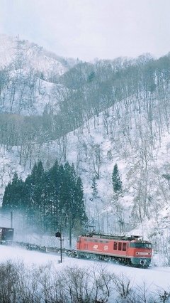 《素材》的句子