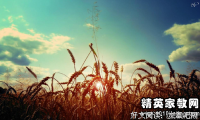 zyq的日日夜夜句子
