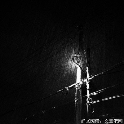 万物静默如谜好词好句