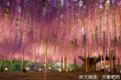 暖春经典名句