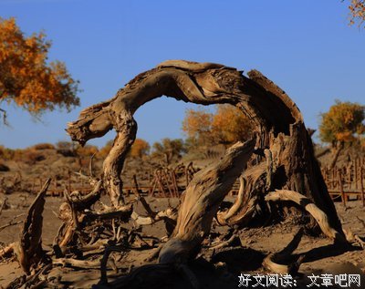 关于醉流酥15句经典名言