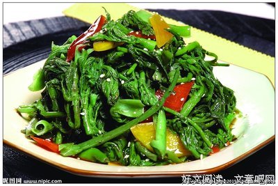 最新的刺嫩芽名言大全
