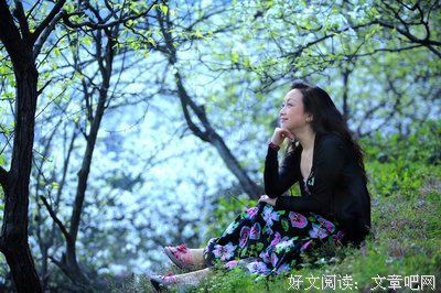 关于梨花，雨落的名言