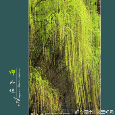 最新的柳如痴名言