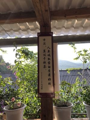 有关夜光法这妈名言警句