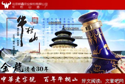 金龙·詹姆不年名言