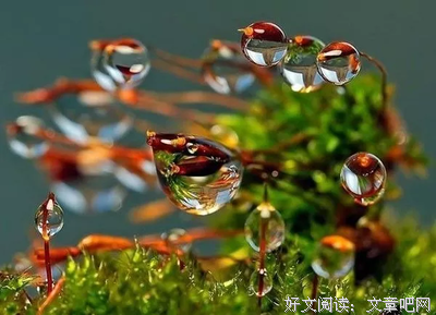 最经典的《繁星》经典的句子