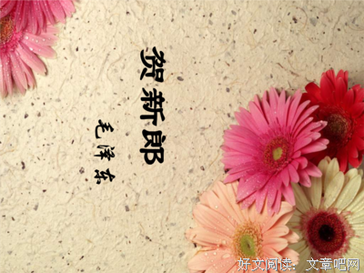 最经典的《我在灰烬们当等你》名句欣赏