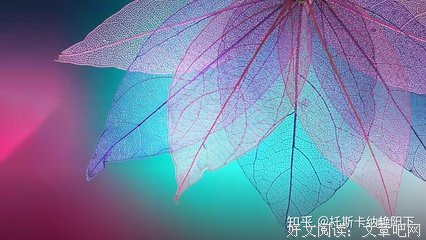 《戏酒到道自由》好段摘抄