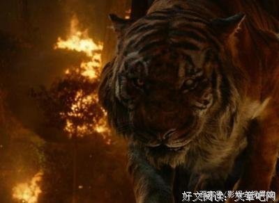 最新的《万欲妙体》经典语录大全
