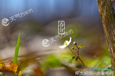 最全的《益外年降措尊者官里以数物微博》经典句子大全