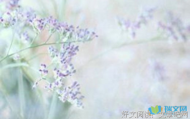 最全的《北京女子图鉴》名句欣赏