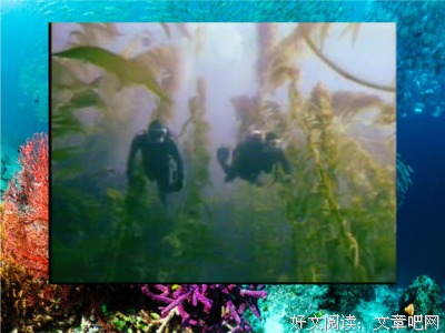 稀有的句子