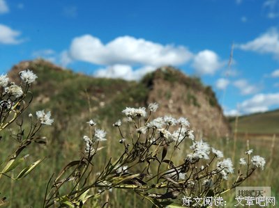 关于兰秋的语句