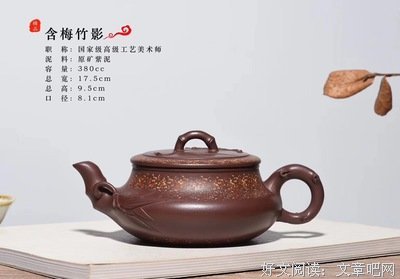 梅魂竹影优美的句子